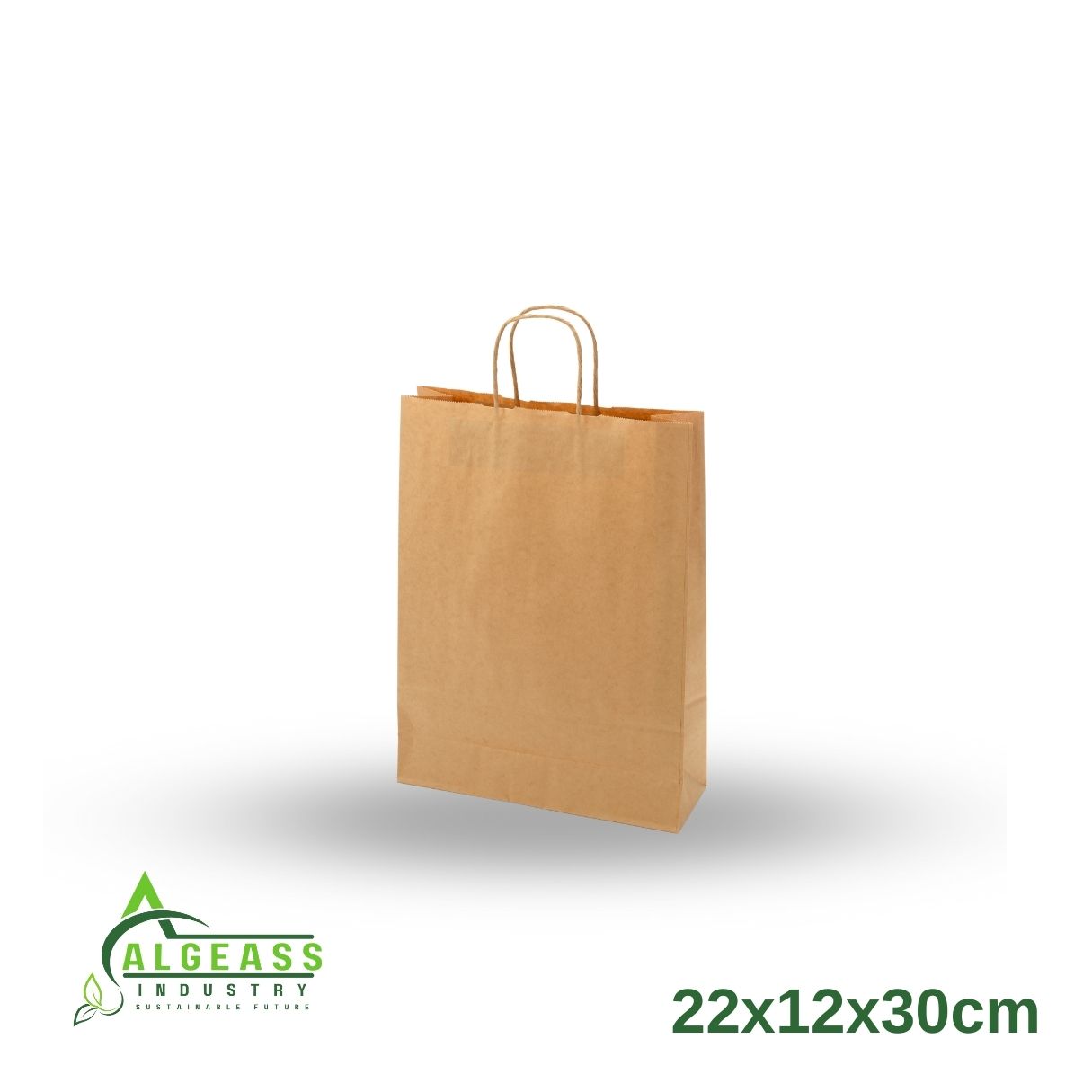  Twisted handle bag  (22x12x30 ) 